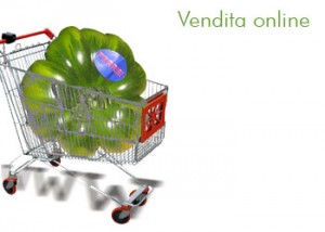 vendita online